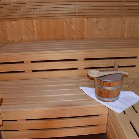 מלון Hotel-restaurant Ronalp Bürchen