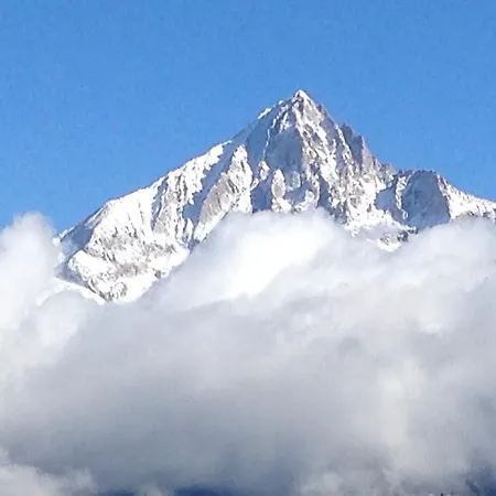 Hotel-restaurant Ronalp 3*