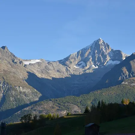 Hotel-restaurant Ronalp 酒店