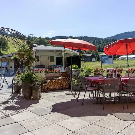Hotel-restaurant Ronalp