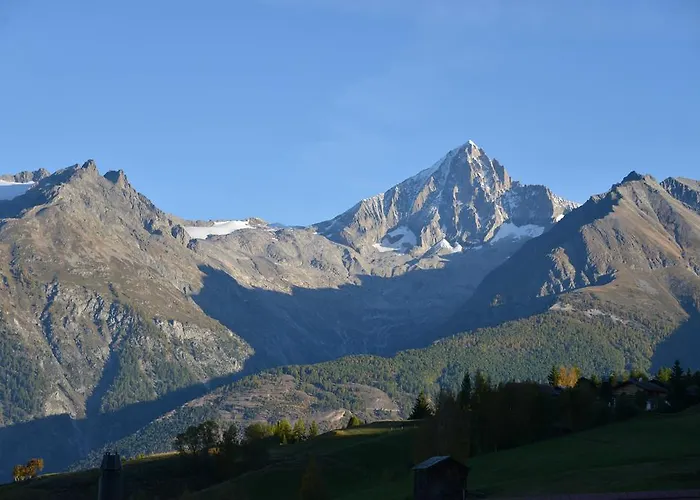 Hotel-restaurant Ronalp Отель