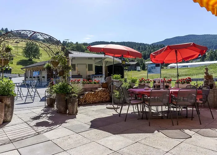 Hotel-restaurant Ronalp