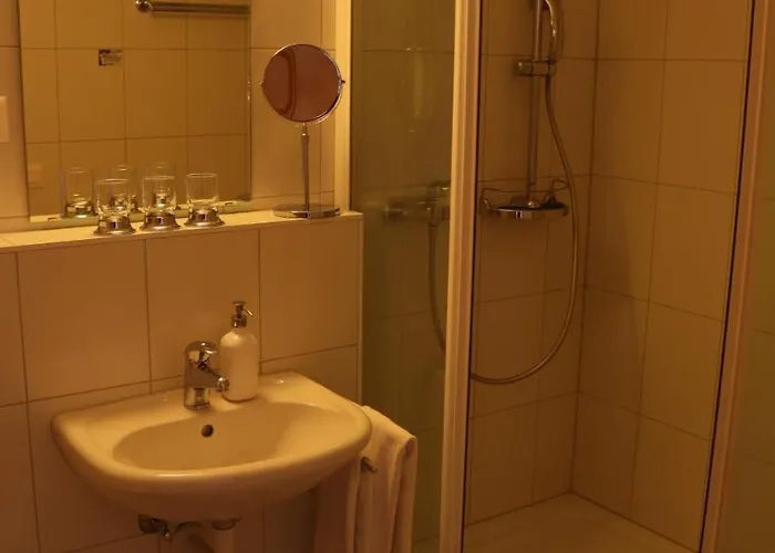 Hotel-restaurant Ronalp 3*