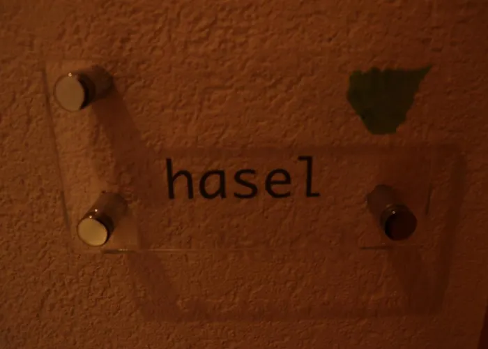 Отель Hotel-restaurant Ronalp