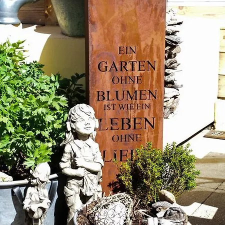 Отель Hotel-restaurant Ronalp 3*