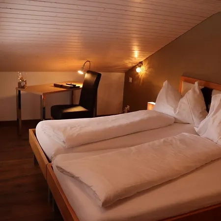 Отель Hotel-restaurant Ronalp Бюрхен