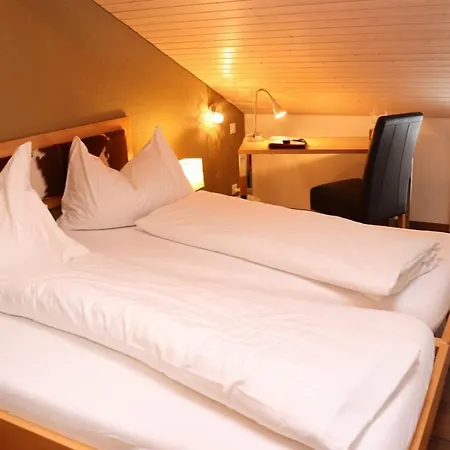 Hotel-restaurant Ronalp 3*