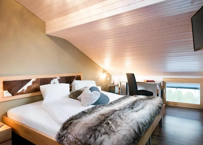 Hotel-restaurant Ronalp מלון