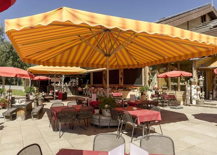 Hotel-restaurant Ronalp Bürchen