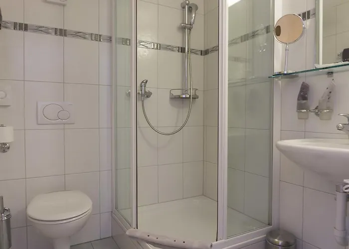 Hotel-restaurant Ronalp מלון