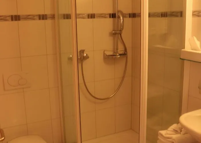 Hotel-restaurant Ronalp Bürchen