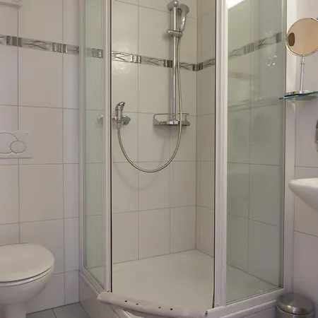 Hotel-restaurant Ronalp 酒店