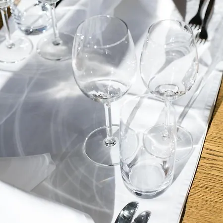 Hotel-restaurant Ronalp 波尔琴