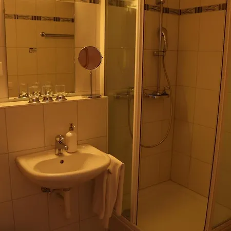 Hotel-restaurant Ronalp 3*