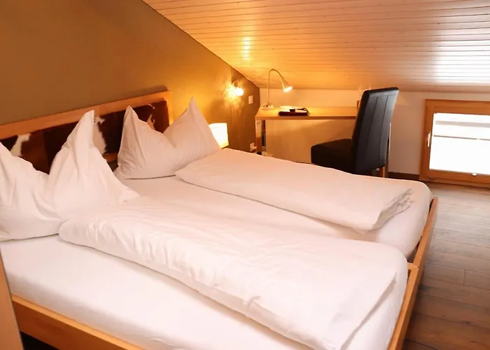 Hotel-restaurant Ronalp 3*